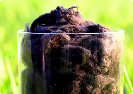 pg电子游戏试玩(中国)官方网站