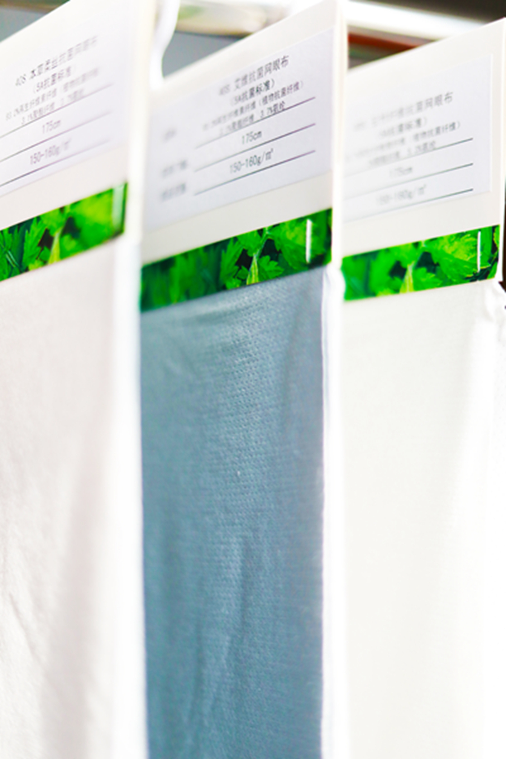 pg电子游戏试玩(中国)官方网站